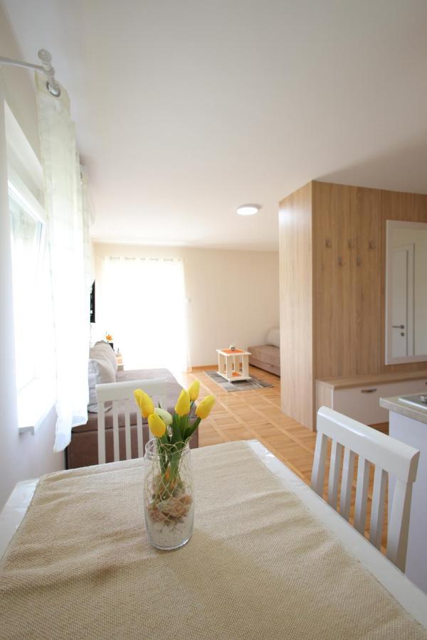 Apartment Vrnjacki Raj